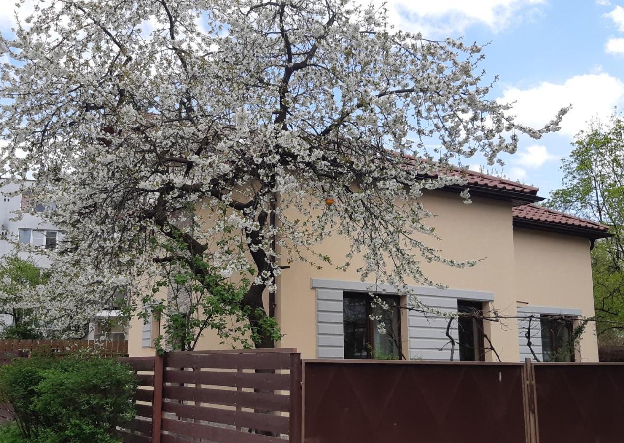 Ferienwohnung Casa Cu Tei Cluj-Napoca Exterior foto